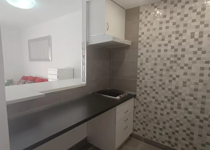 公寓 Playa Paraiso 阿德耶